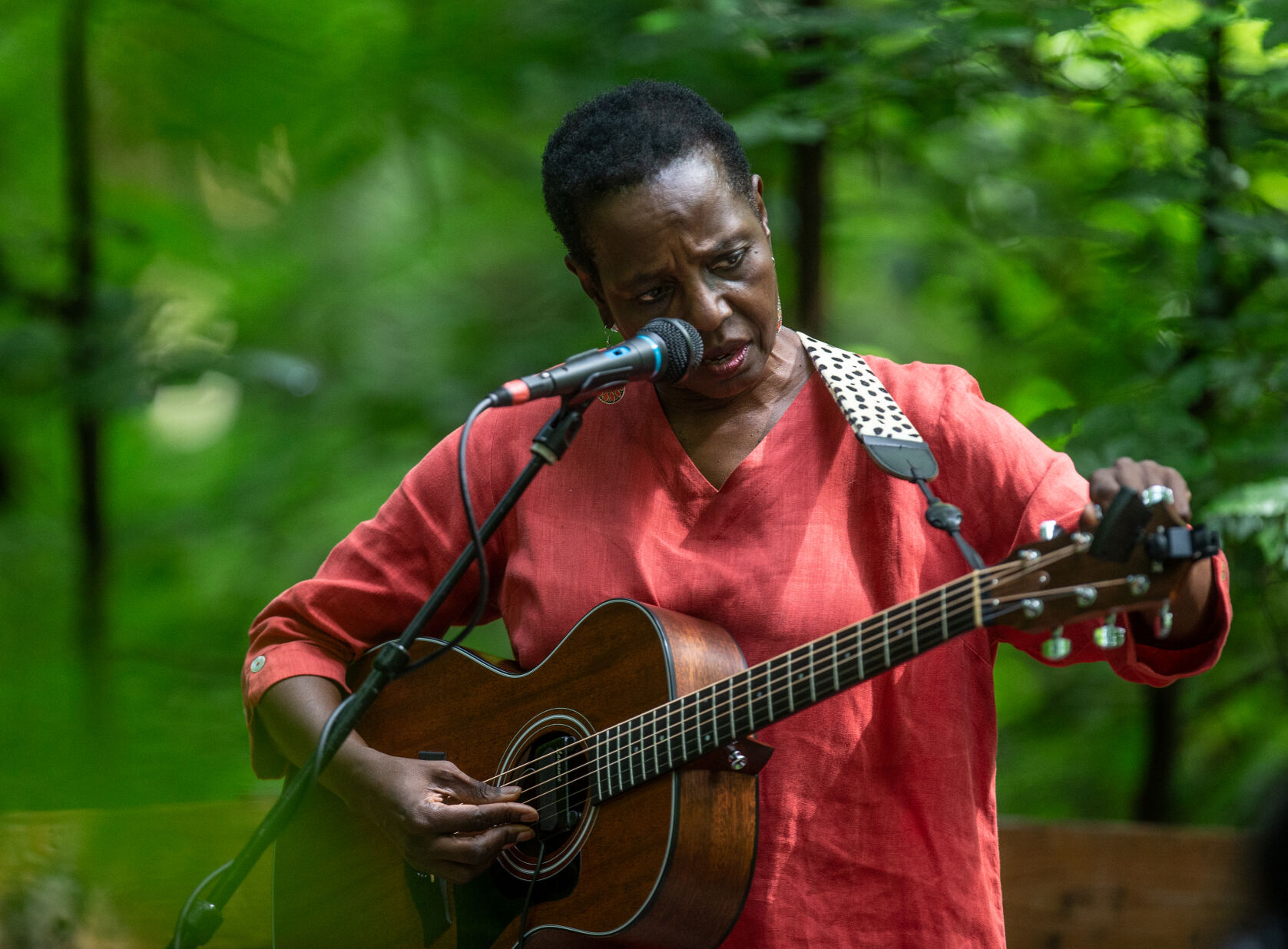 081320-gnr-nws-folkfestival